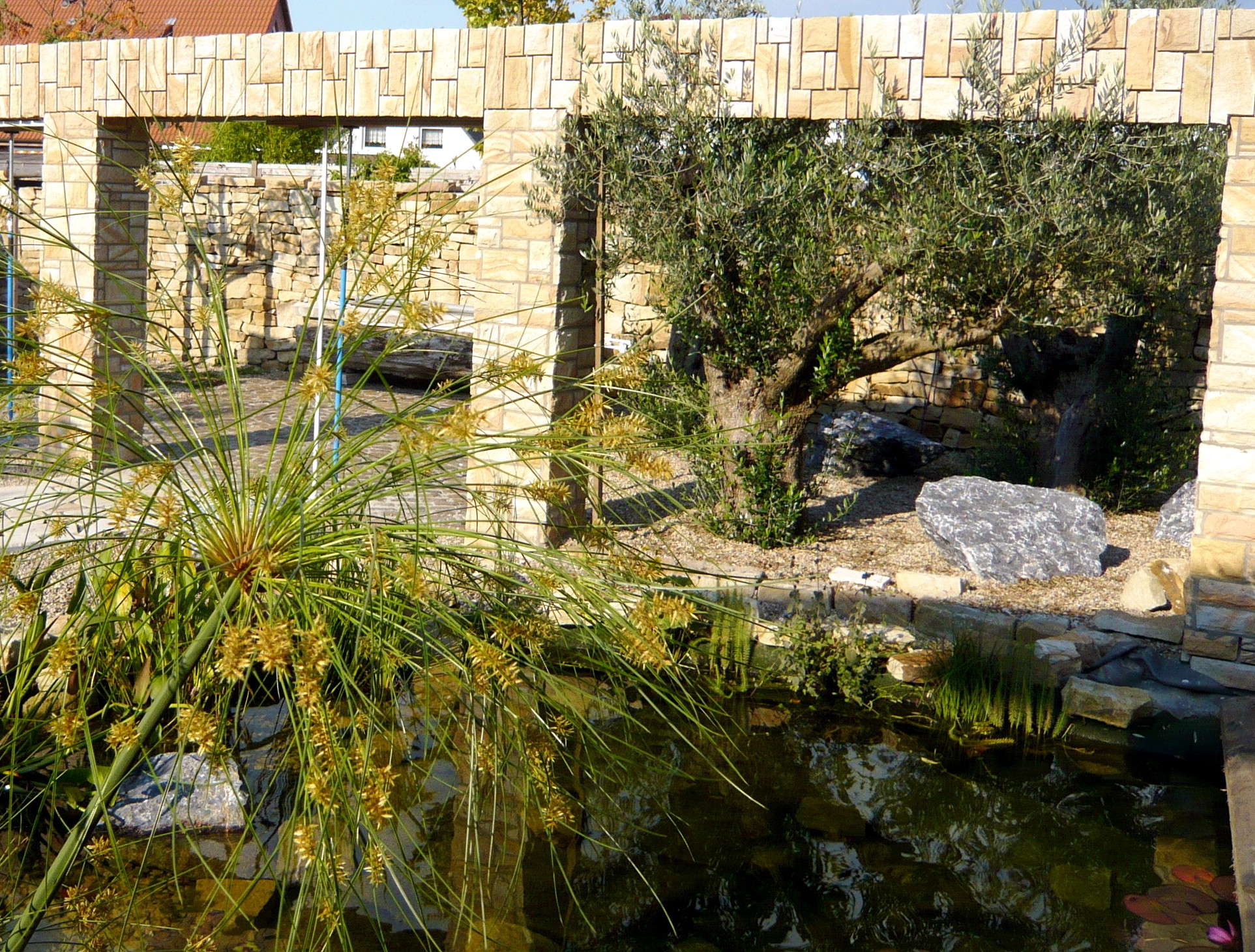 Mediterrane Gartengestaltung mit Olivenbaum