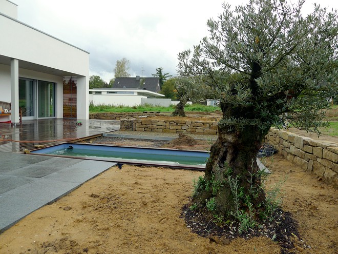 Gartengestaltung mit Olivenbaum, Hochbeet und Wasserbecken