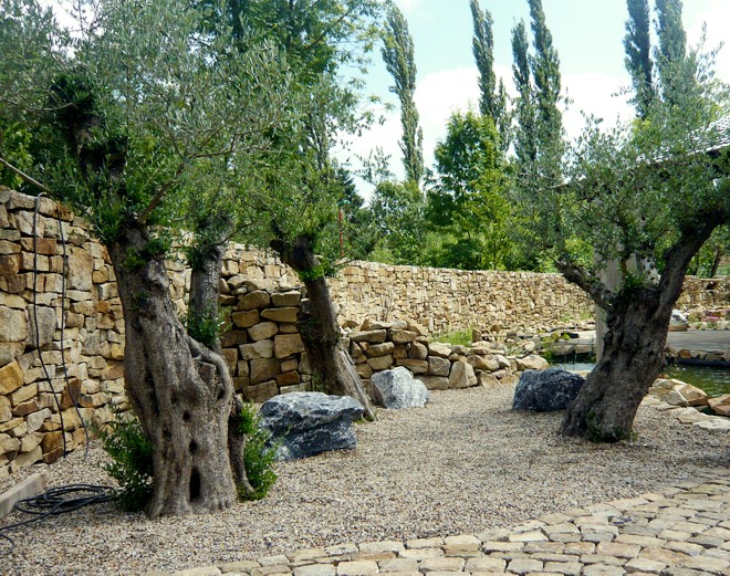 Olivenbäume in Herne
